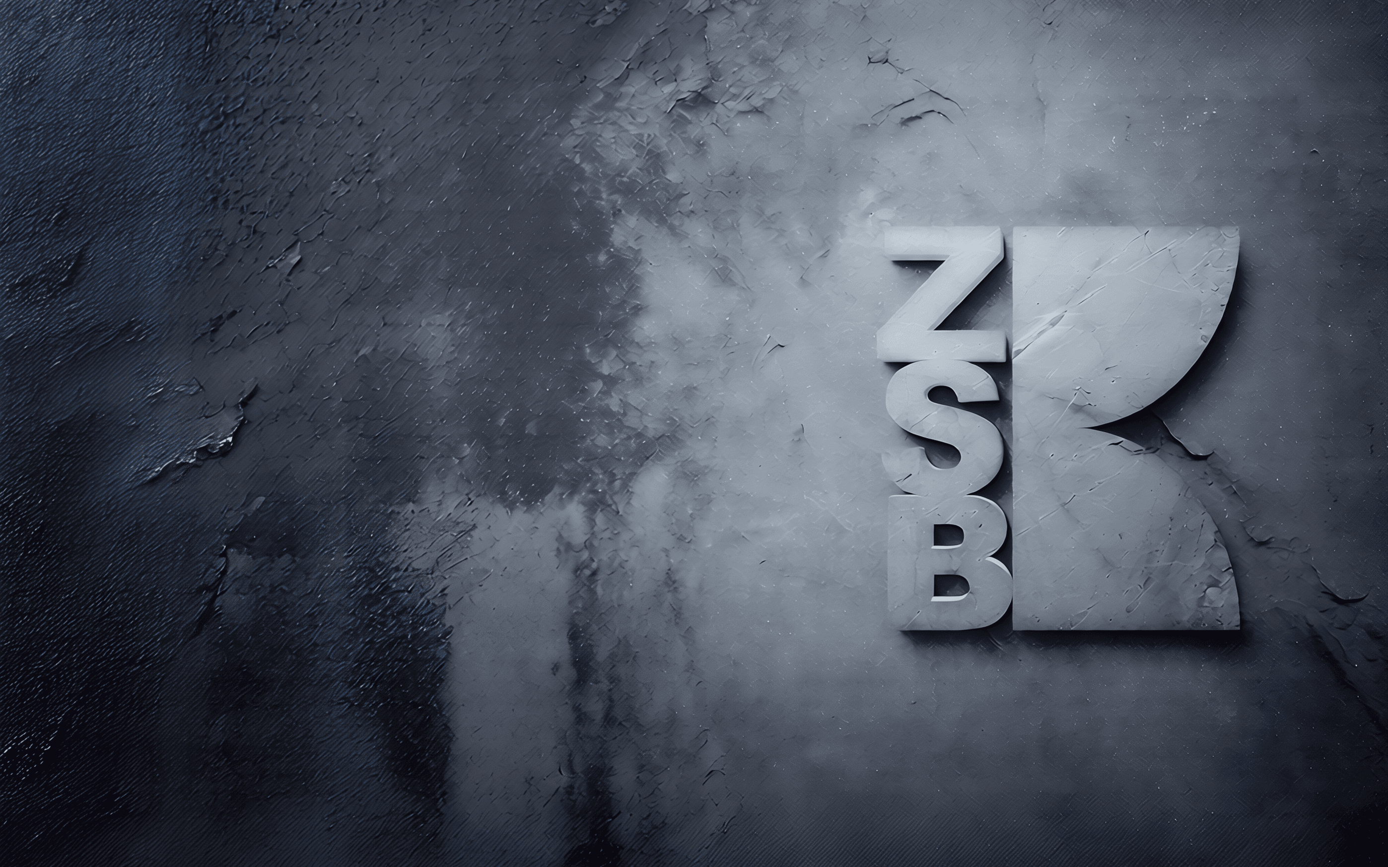 ZSB 2023 re#situăriafective