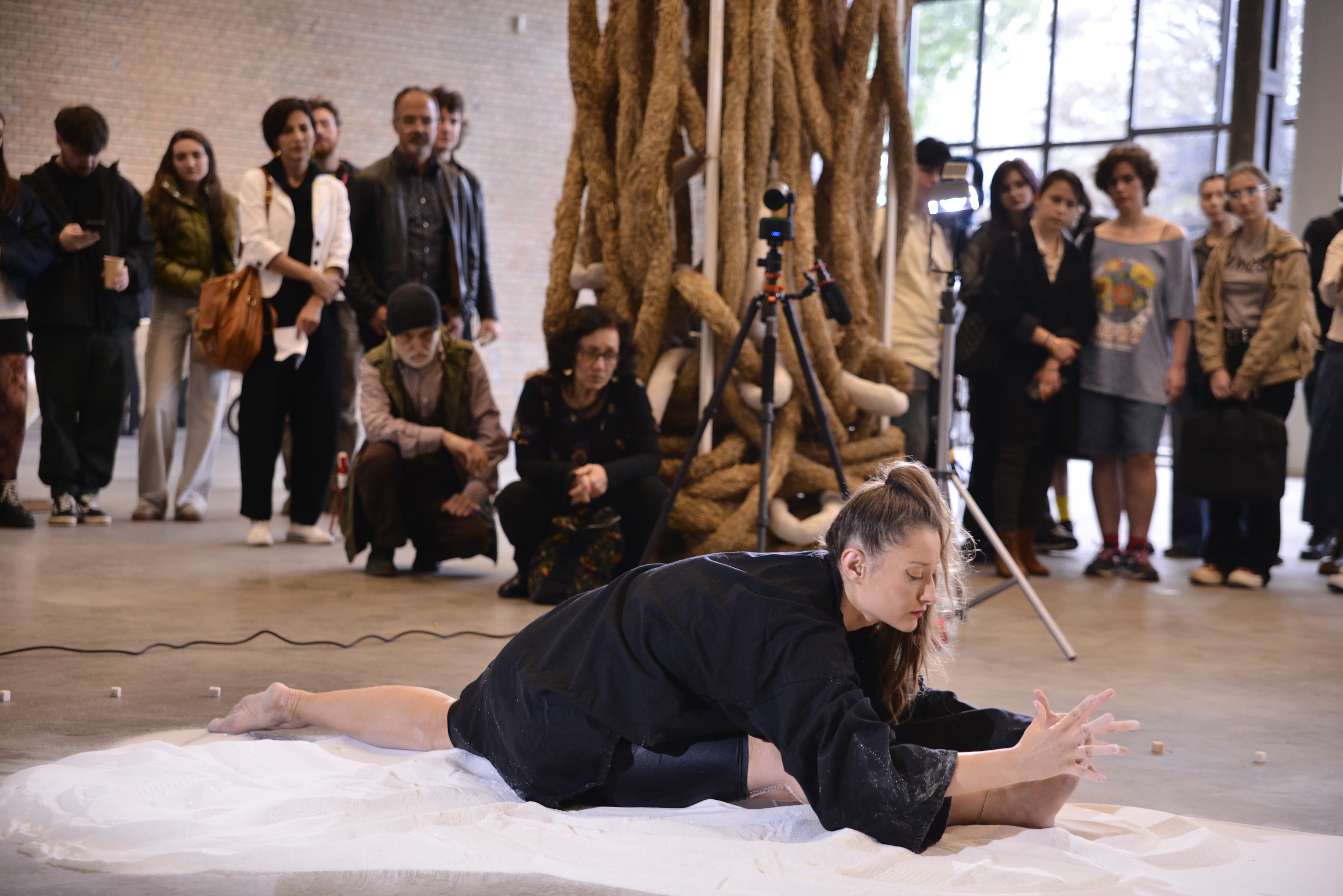 ZSB 2025 Gallery View