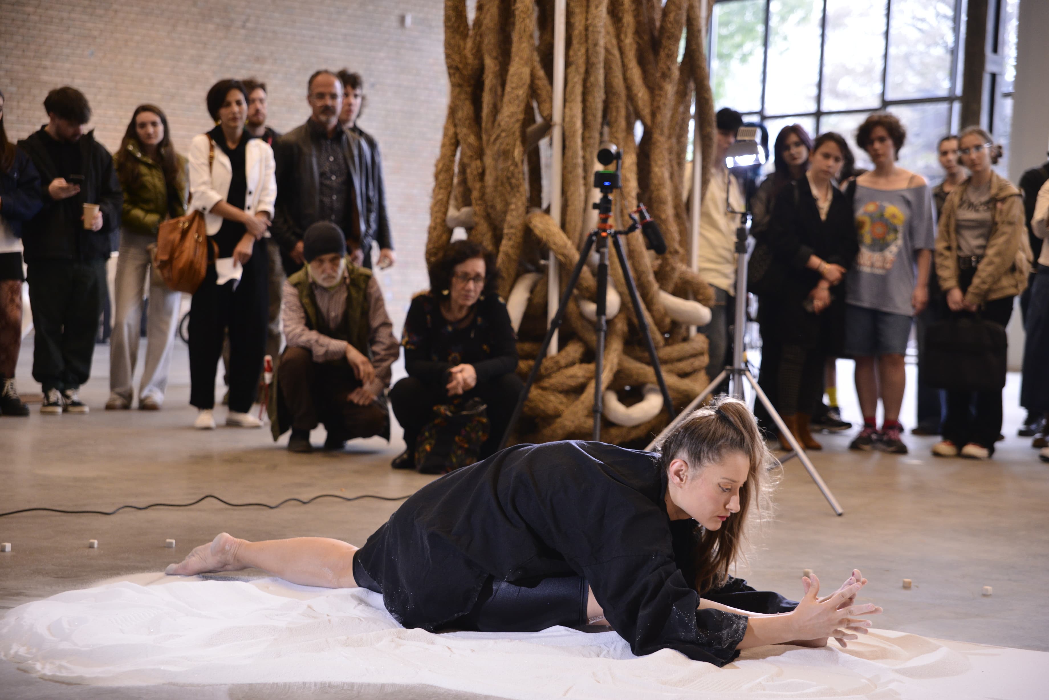 Performance and audience at ZSB 2025, Combinatul Fondului Plastic