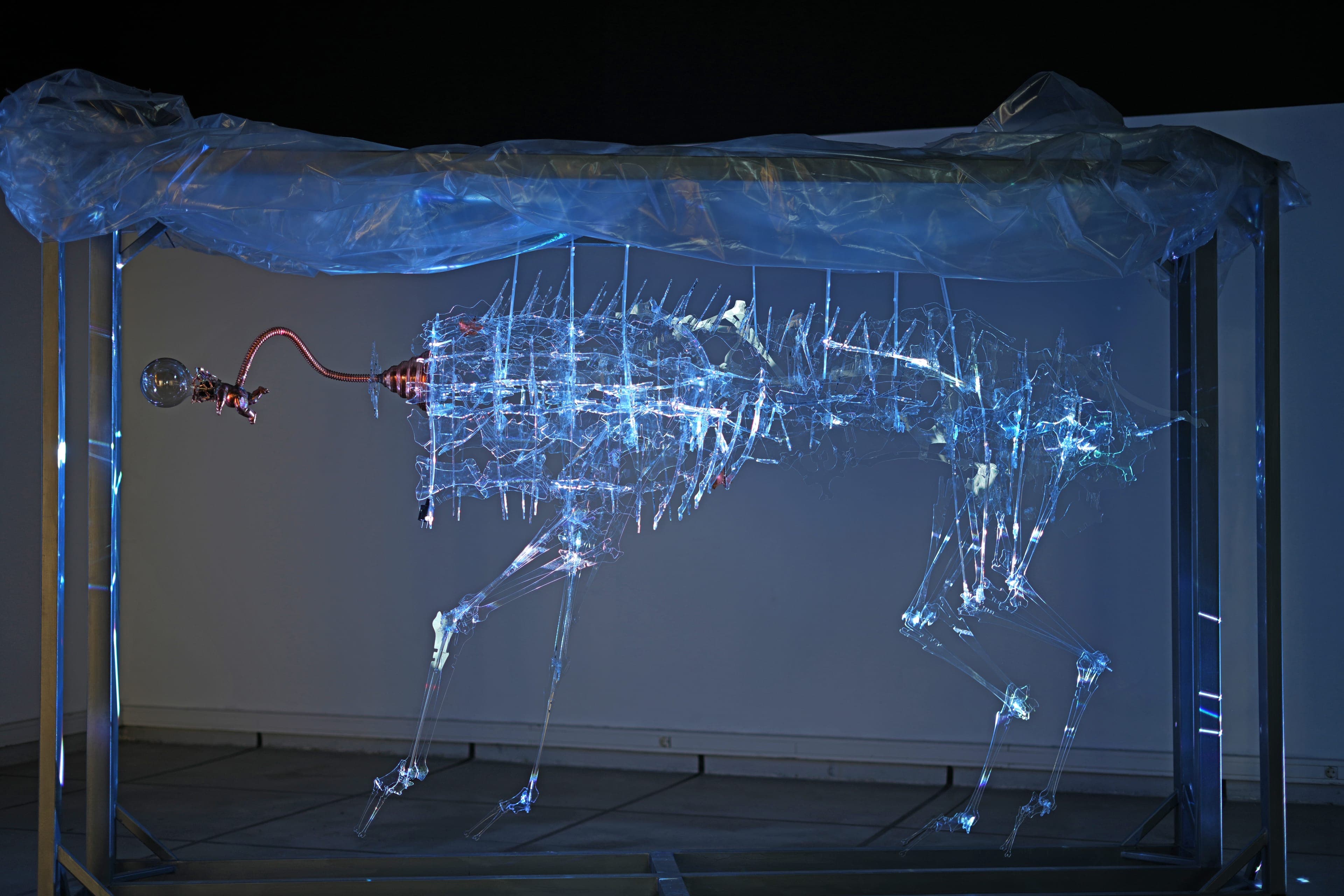 ZSB 2025 Gallery Space